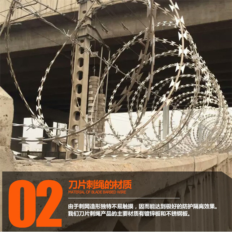 304不锈钢刺丝滚笼围网生产加工出售图片3