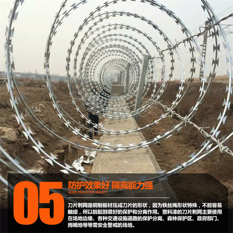 304不锈钢刺丝滚笼围网生产加工出售图片6